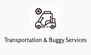 transportation and buggy service