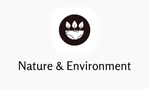 nature and environment